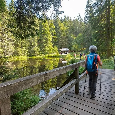 Nr 20, Typ B, Jaegerpark, Bayerischer Wald * Viechtach