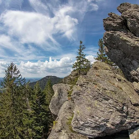 Dom wakacyjny Nr 20, Typ B, Jaegerpark, Bayerischer Wald