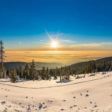 Nr 20, Typ B, Jaegerpark, Bayerischer Wald Viechtach
