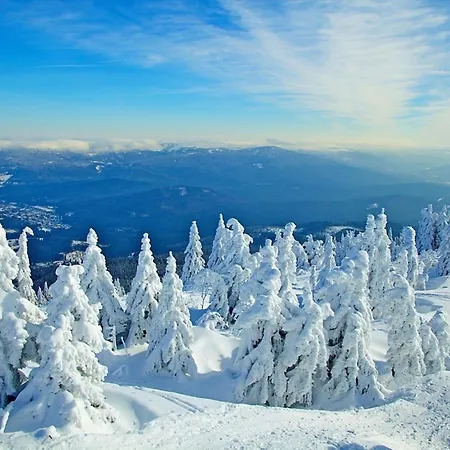 Dom wakacyjny Nr 20, Typ B, Jaegerpark, Bayerischer Wald Viechtach