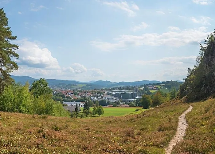 Nr 20, Typ B, Jaegerpark, Bayerischer Wald Viechtach