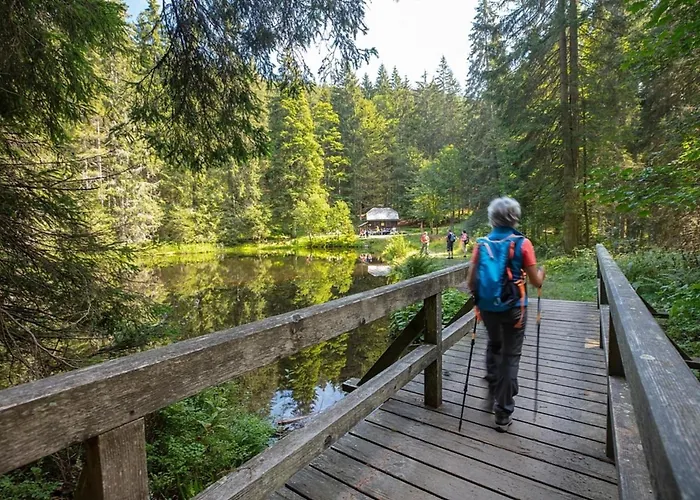 Nr 20, Typ B, Jaegerpark, Bayerischer Wald * Viechtach