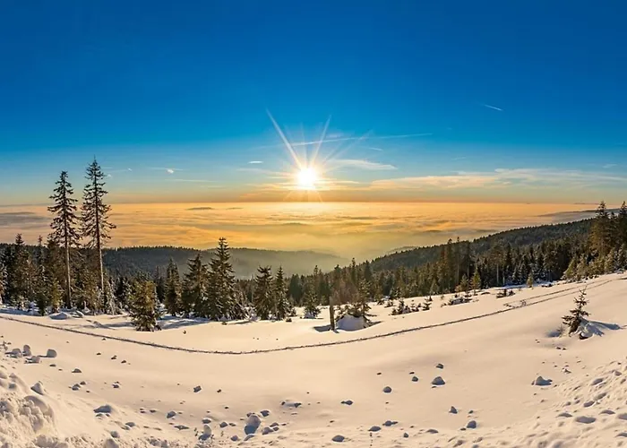Nr 20, Typ B, Jaegerpark, Bayerischer Wald Viechtach